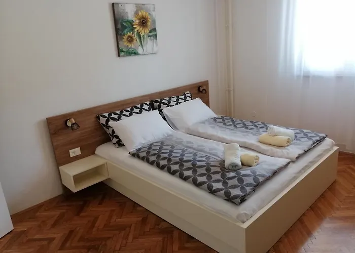 Apartment Darko Rovinj